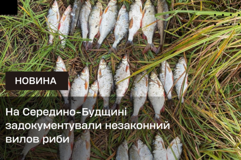 На Середино-Будщині задокументували незаконний вилов риби
